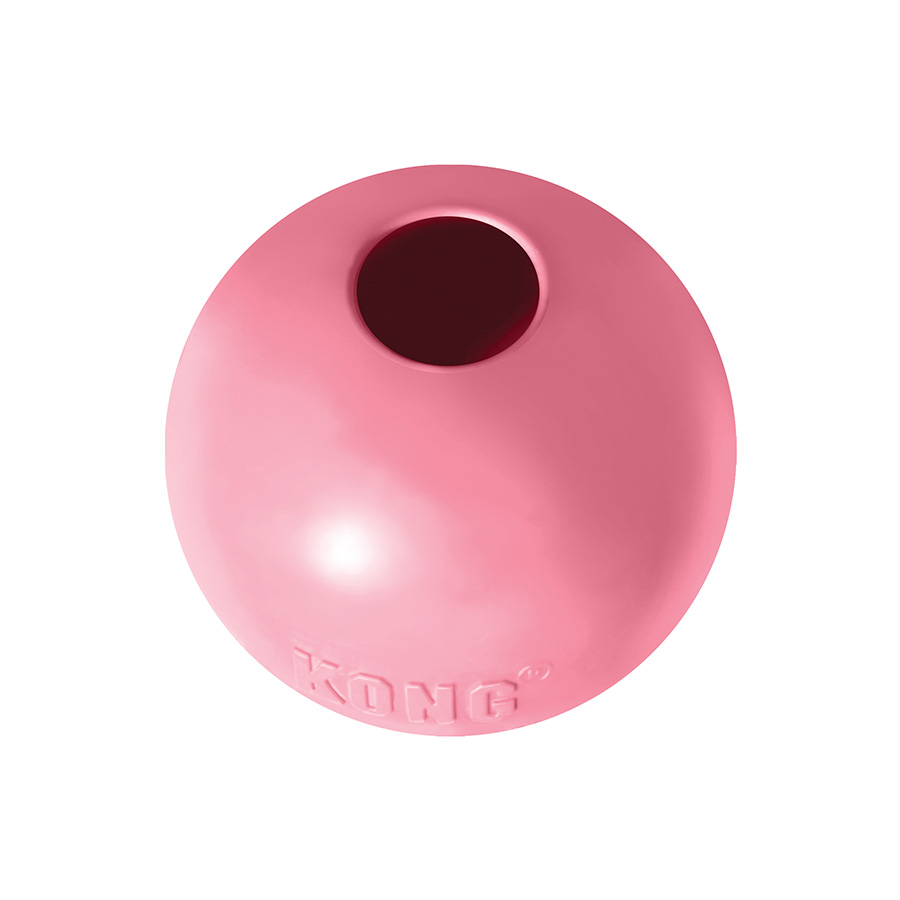 Kong Puppy Ball with Hole Dog Toy