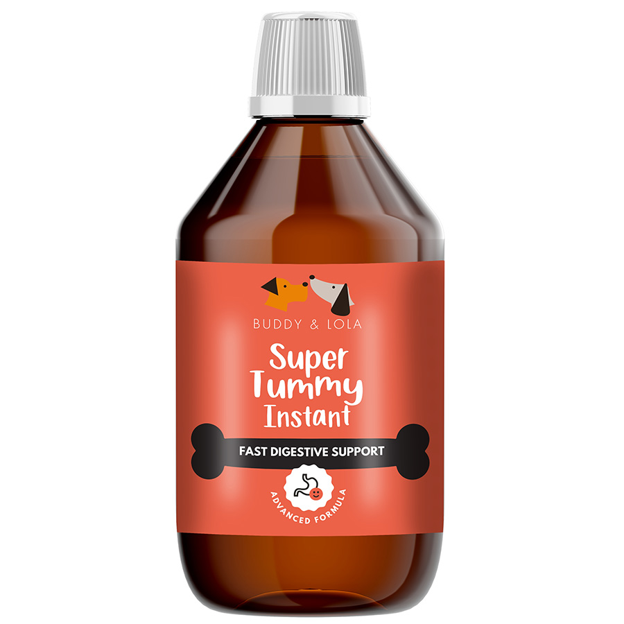 Buddy & Lola Super Tummy Instant Fast Digestive Support for Dogs 100ml