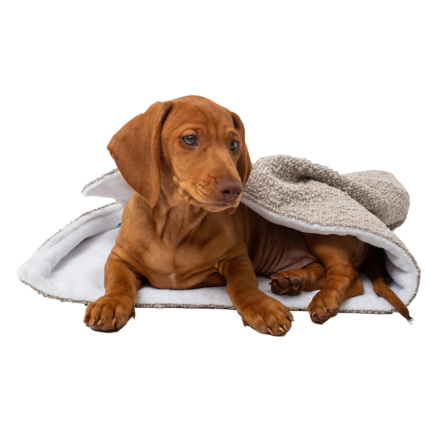 Lords & Labradors Boucle Pet Blanket Mink