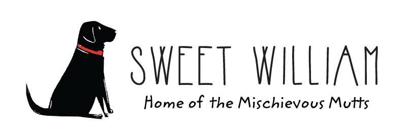 Sweet William